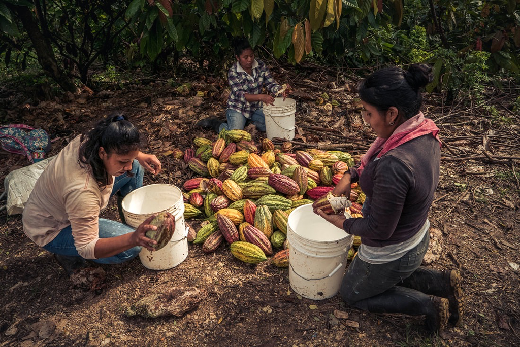 Ceremonial Grade 100% cacao special; Guatemala by Heinde&Verre 